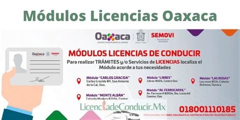 Licencia de Conducir OAXACA ️ ®【2024。